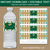 Downloadable Graduation Water Bottle Labels Hunter Green Gold Glitter Stripes